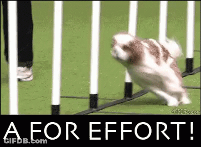 A+ For Effort GIF