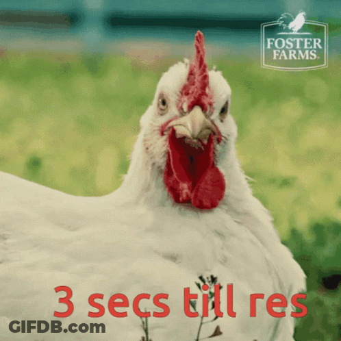 A Foster Farms Advertisement With A Chicken GIF