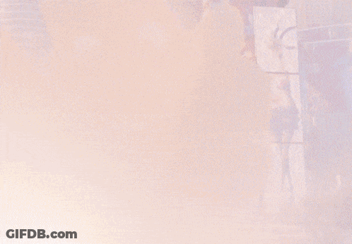 A Fox And A Rabbit Are Posing For A Selfie GIF