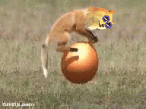 A Fox Is Jumping Over A Ball With A Doge On Its Head GIF