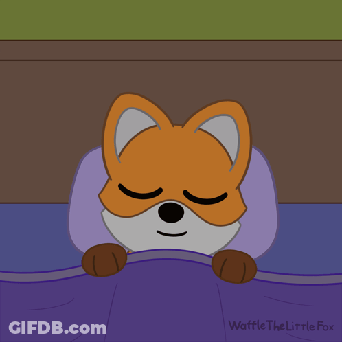 A Fox Is Sleeping Under A Blanket With The Words Good Night Written Above It GIF