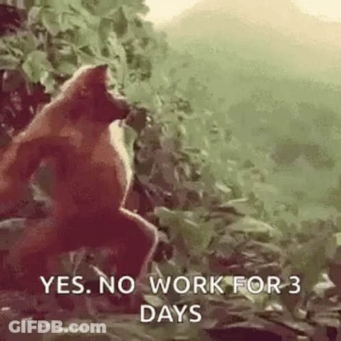 A Fox Is Standing In The Woods With The Words `` Yes , No Work For 3 Days '' Written On It . GIF