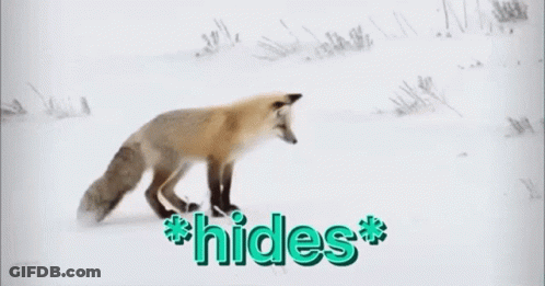 A Fox Is Walking Through The Snow With The Words * Hides * Behind It GIF
