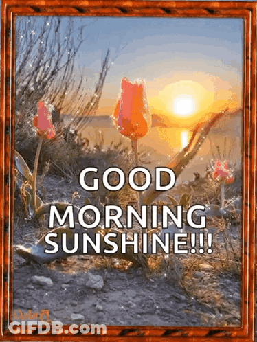 A Framed Picture Of Flowers With The Words Good Morning Sunshine GIF