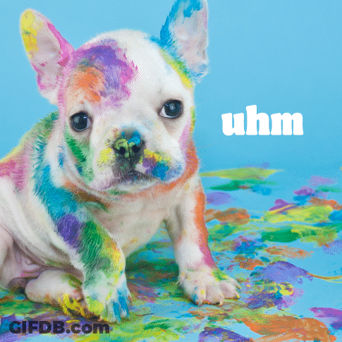 A French Bulldog Puppy Is Covered In Colorful Paint With The Word Uhm Above It GIF
