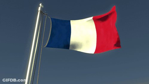 A French Flag Is Waving In The Wind GIF