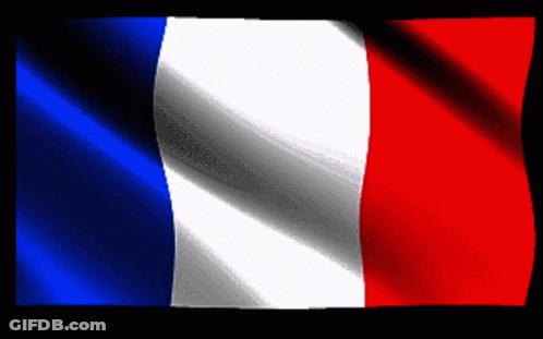 A French Flag Is Waving In The Wind On A Black Background GIF