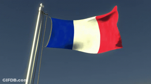 A French Flag Is Waving In The Wind GIF