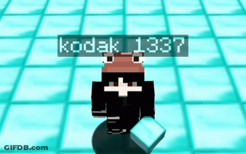 A Frog In A Video Game With Kodak 1337 Above It GIF