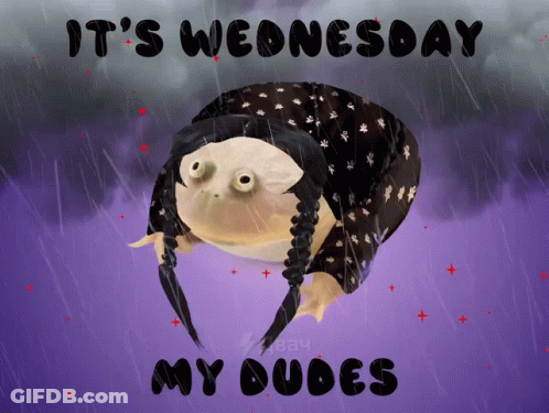 A Frog In The Rain With The Words It 'S Wednesday My Dudes On The Bottom GIF