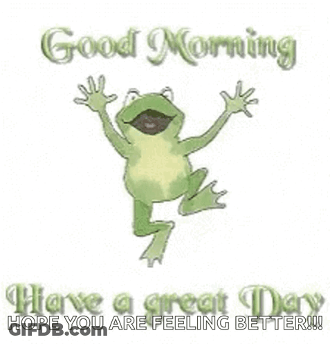 A Frog Is Jumping In The Air With The Words `` Good Morning Have A Great Day Hope You Are Feeling Better !! '' GIF