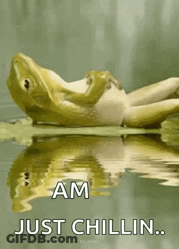 A Frog Is Laying In The Water With The Words Am Just Chillin GIF