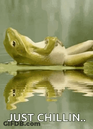 A Frog Is Laying On A Leaf In The Water With The Words Just Chillin GIF