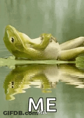 A Frog Is Laying On A Leaf In The Water With The Words `` Me '' Below It . GIF