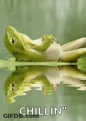 A Frog Is Laying On A Lily Pad In The Water And Says `` Chillin '' . GIF