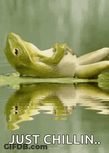 A Frog Is Laying On A Lily Pad In The Water With The Words Just Chillin Below It . GIF