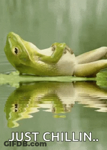 A Frog Is Laying On A Lily Pad In The Water With The Words Just Chillin Below It . GIF