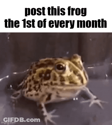 A Frog Is Sitting In A Bucket Of Water With The Words `` Post This Frog The 1St Of Every Month '' . GIF