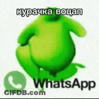 A Frog Is Sitting Next To A Whatsapp Logo . GIF