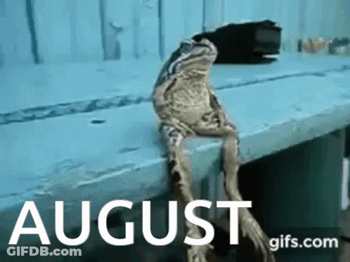 A Frog Is Sitting On A Bench With The Words August Gifs.com GIF