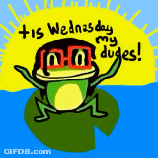 A Frog Is Sitting On A Lily Pad With The Words This Wednesday My Dudes GIF