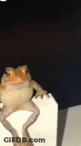 A Frog Is Sitting On Top Of A White Box In The Dark . GIF