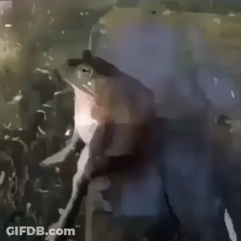 A Frog Is Standing In Front Of A Crowd Of People . GIF