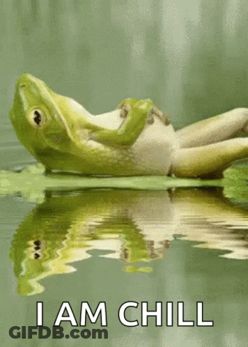 A Frog Laying On A Leaf In The Water With The Words I Am Chill Below It GIF