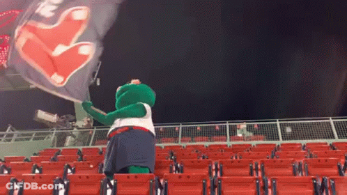 A Frog Mascot Is Holding A Flag In A Stadium GIF