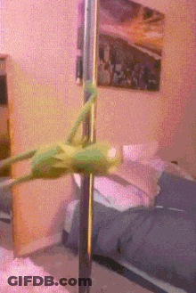 A Frog On A Pole In A Bedroom GIF