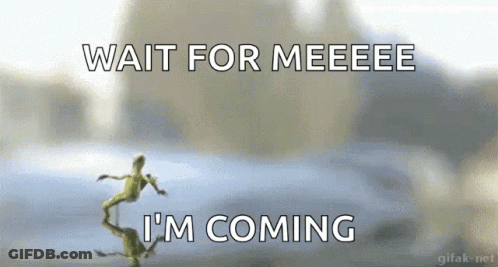 A Frog Says Wait For Meeeee I 'M Coming In Front Of A Car GIF