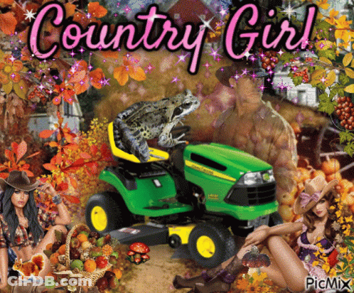 A Frog Sits On A John Deere Lawn Mower Surrounded By Women GIF