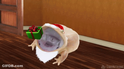 A Frog With A Santa Hat And Beard Is Holding A Gift Box GIF