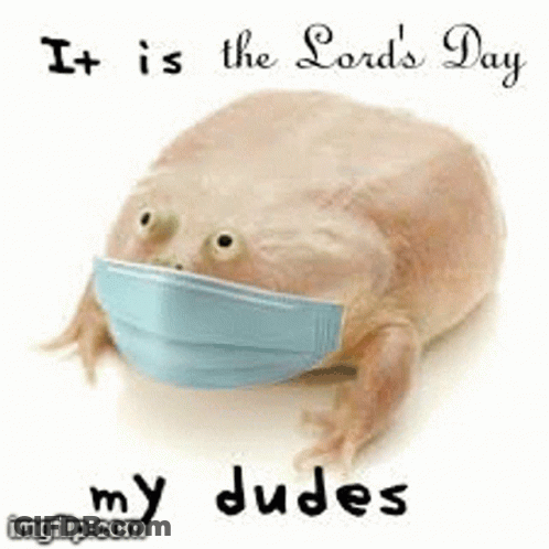 A Frog With A Soap Bar Next To It And The Words It Is The Lord 'S Day My Dudes GIF