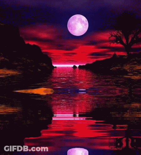 A Full Moon Is Reflected In The Water At Night GIF
