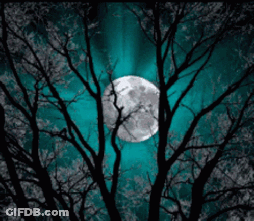 A Full Moon Is Visible Through The Trees In The Dark GIF