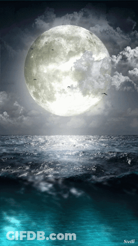 A Full Moon Over A Body Of Water With The Name Stefli On The Bottom GIF