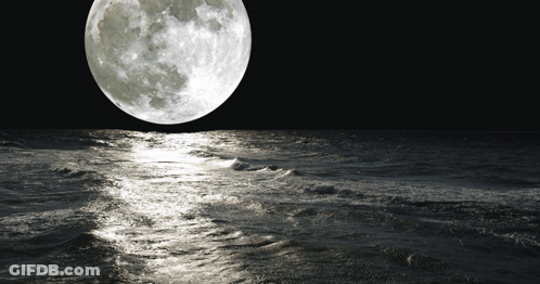 Full Moon Rising Over Ocean GIF