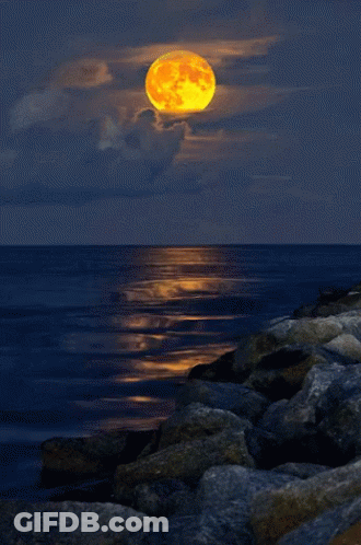 A Full Moon Rises Over The Ocean With A Rocky Shoreline In The Foreground GIF