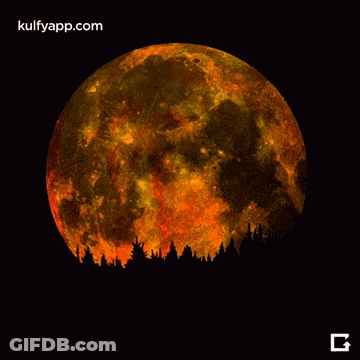 A Full Moon With A Silhouette Of Trees In Front Of It And The Website Kulfyapp.com GIF
