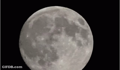 A Full Moon With The Words Opal X To The Moon GIF