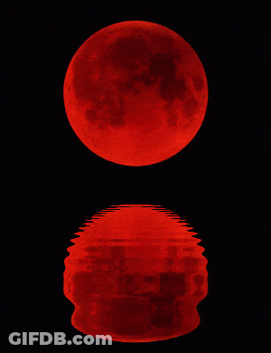 A Full Red Moon Is Reflected In A Pool Of Red Water GIF