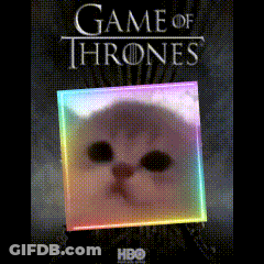 A Game Of Thrones Poster With A Cat In A Square GIF