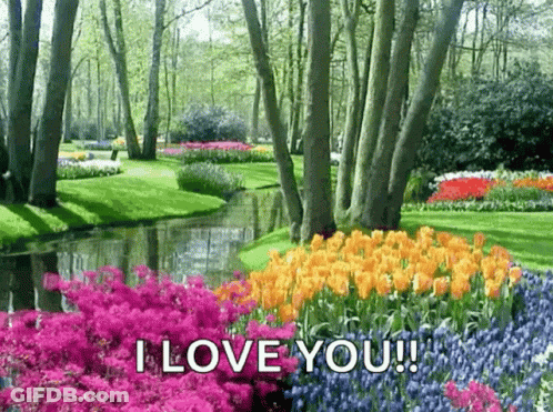 A Garden With Flowers And Trees And A River In The Background And The Words `` I Love You '' GIF