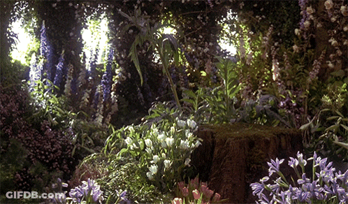 A Garden With Purple And White Flowers And A Tree Stump GIF