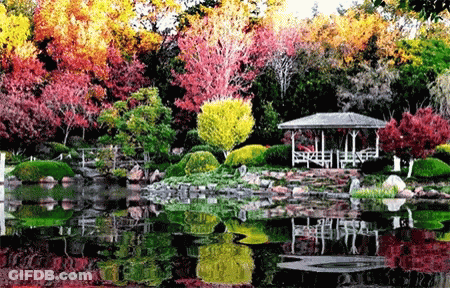 A Gazebo Sits In The Middle Of A Lush Green Forest GIF