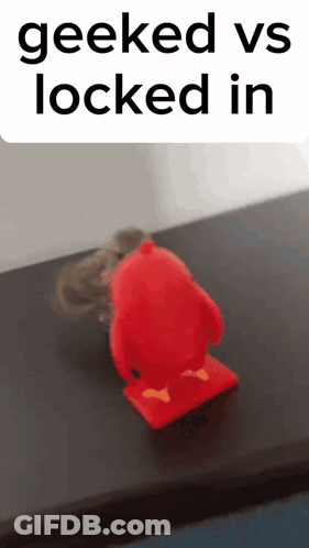 A Geeked Vs Locked In Meme With A Red Penguin On Top Of A Table GIF
