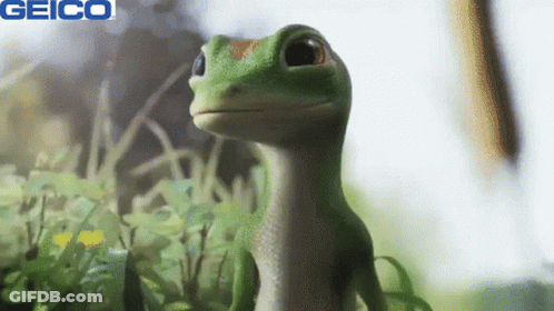 A Geico Ad With A Green Lizard In The Grass GIF