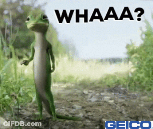 A Geico Ad With A Lizard And The Word Whaaa GIF