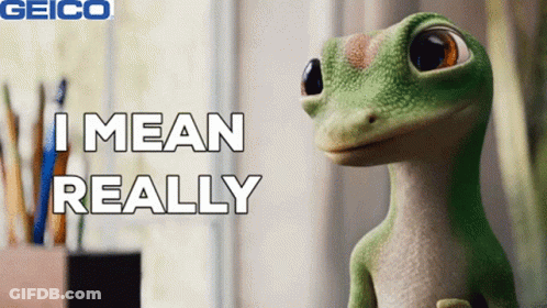 A Geico Ad With A Lizard And The Words I Mean Really GIF
